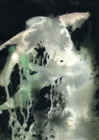 http://www.actionaqua.com/files/gimgs/th-121_Scan 17invert_v2.jpg